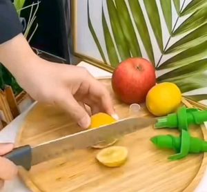 Citrus Fruit Juice Sprayer (Set of 2)