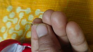 Gold Nose Pin