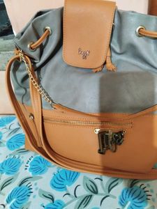 baggit Tote Bag