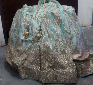 Lehanaga Choli With Sequence Work