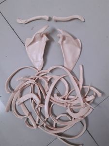 Bones Set-1 For Medical Students!! (Thorax)