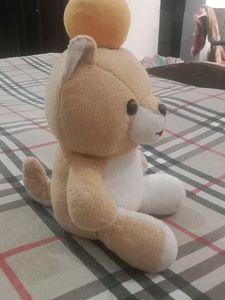 Teddy 🧸🐻