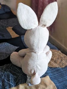 soft plushie teddy