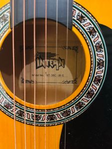 INTERN GUITAR
