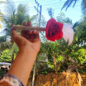 Rose Feather Pen