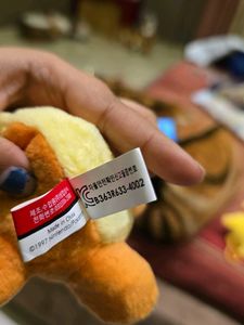 Charmander Plush Bag tag