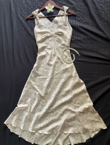 Vintage Champagne Dress🌙