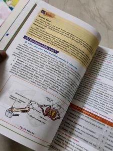 Dinesh Class 10 Biology Cbse