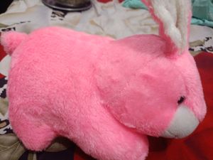 Cute Pink Softoy