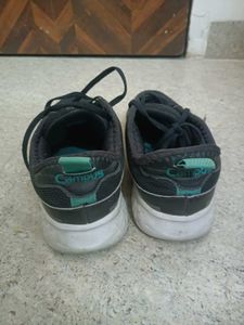 Shoe For Gym