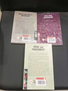 Dostoevsky Book Collection