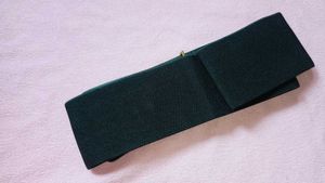 Lv Buckle Wide Belt