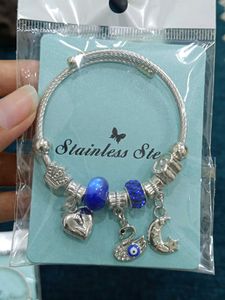 Charm Bracelet Pandora