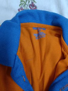 Sanfort Summer Dress