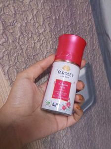 Yardley London Rose Roll On
