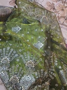 Jimmy Choo Saree