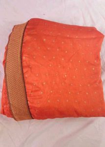 Orange Saree with Embellishments