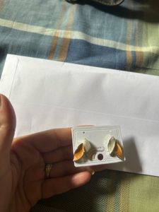 Brand New Earrings