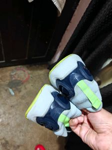 Campus Shoes For Men