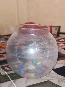This Is Fish Tank And Flowers Inside