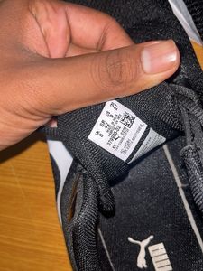 Puma Coarse Running Shoes