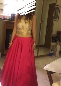 Pink Skirt with Embellished Top