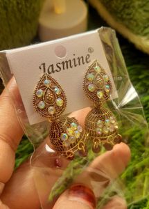 Golden Earrings✨️