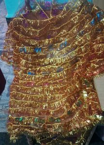 Sparkling Bridal Dupatta