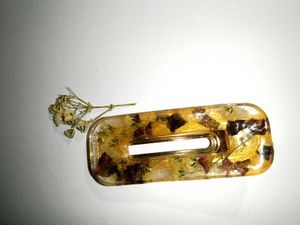 Gorgeous Resin Hair Clips