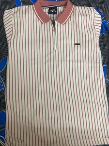 Striped Women Zara Pink Shirt