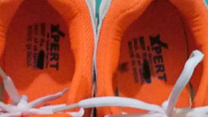Sports Shoes for Players