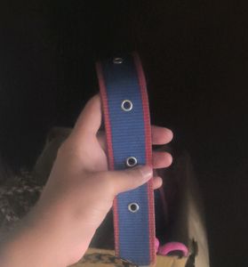 Dog Collar