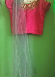 Lehenga Choli Set