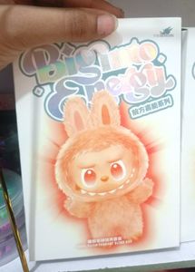 The Labubu Blind Box