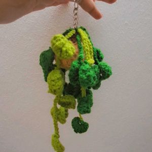 Handmade Crochet Money Plant Keychain