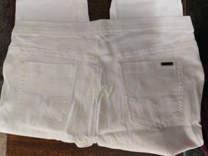 Pant