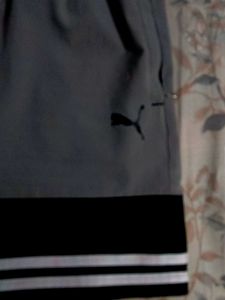 Puma Short&#39;s In Like New Condition