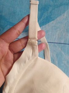 Push Up Bra