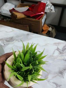 Beautiful Table Owl For Offfice Or Room Decoration