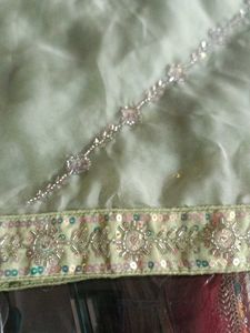 Mint Green Embellished Saree