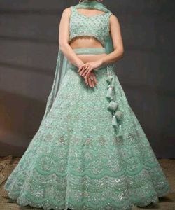 Mint Green Embellished Lehenga Choli