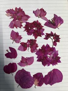 dry flowers for resin art