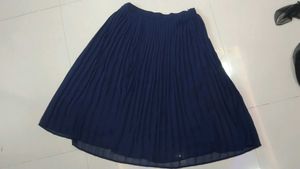 Knee Length Pleated Skirt