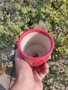 Beautiful Dotted Red Planter For Your Plants