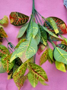 Green Red Shaded Leaf Set