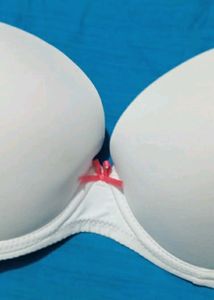 Light Pushup Underwire Bra