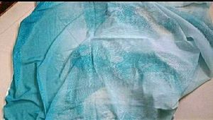 Aqua Blue Dupatta