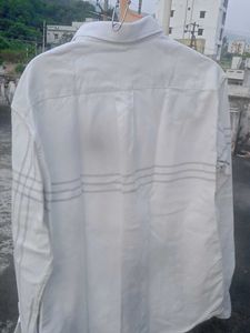 Branded Summer Cotton