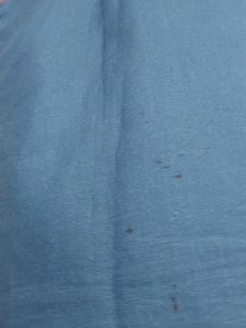Tunic