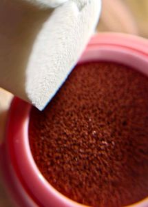 N. TRENDY KOREAN SPONGE BLUSH